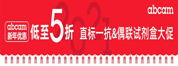 森斯科贸