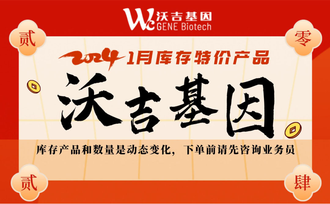 森斯科贸